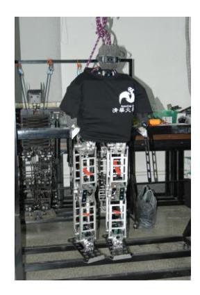 THU-Strider robot
