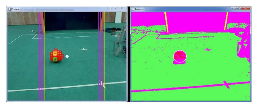 Fig. 6. The robot's image processing to detect ball, goal and field lines