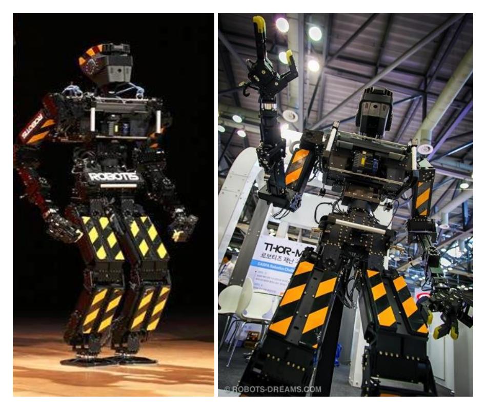Fig 2: ROBOTIS's THORwIn/THOR-MANG