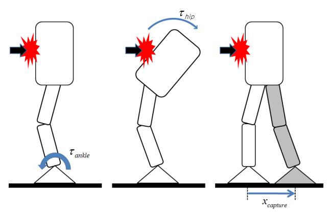 Fig 3: Push recovery