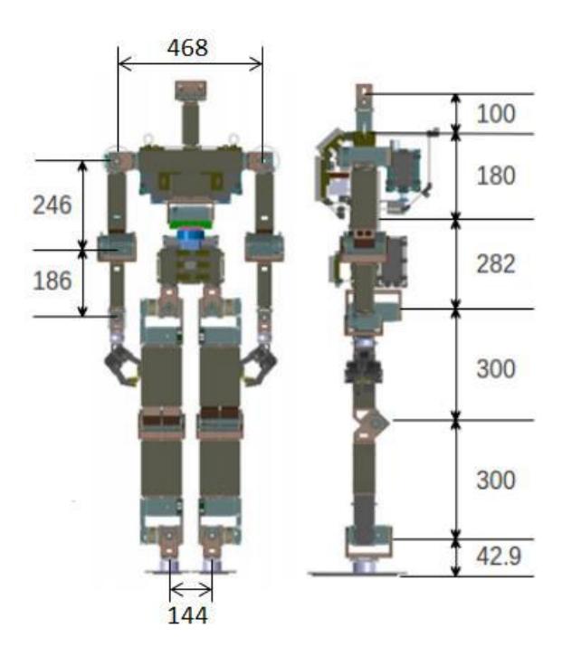 Fig 4: THORwIn Dimensions (in mm)