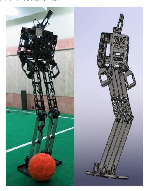 Figure 1. Baset Adult-Size Platform