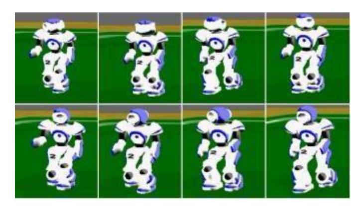 Figure 4. Walking gait screenshots [5]