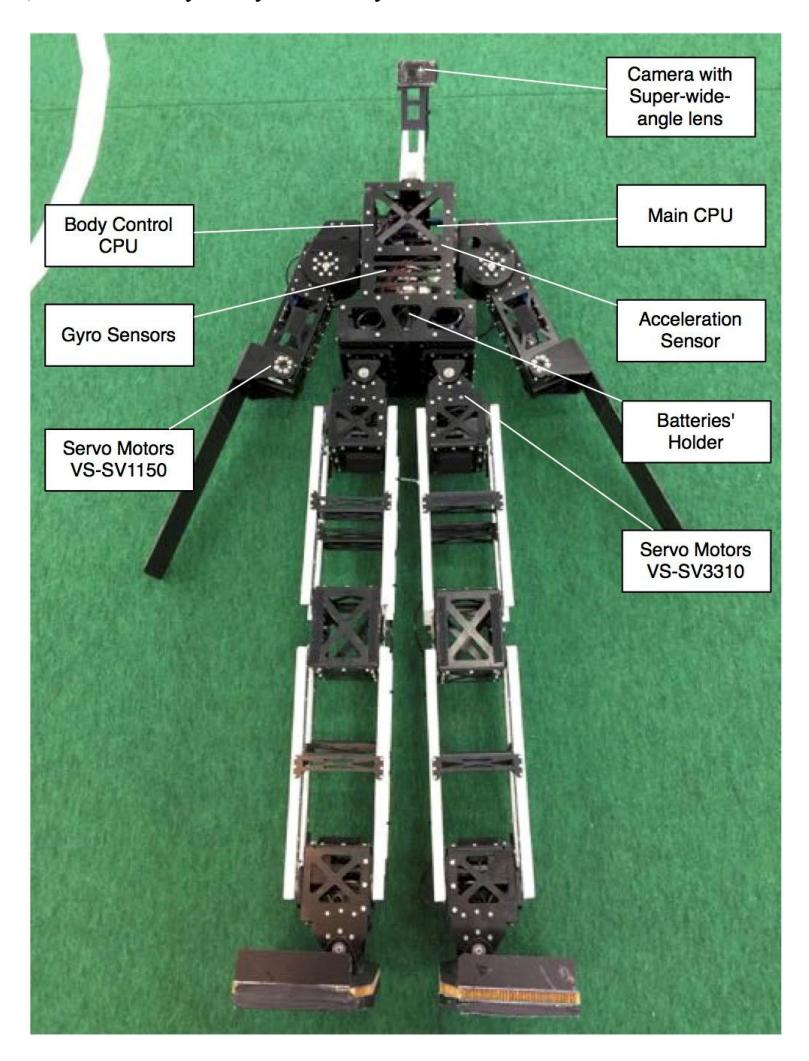 Fig.1. Structure of the Robot