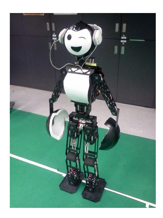 Fig. 1. Robo-Erectus AdultSize Humanoid, RESr Winky