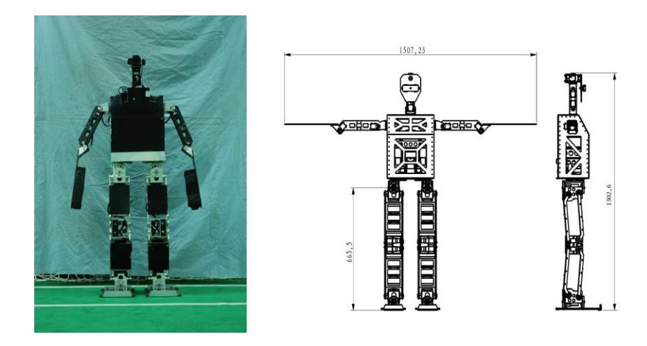 Fig. 1. 1) THU-Strider robots 2) Robot Dimension