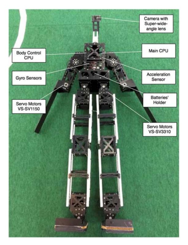 Fig.1. Structure of the Robot
