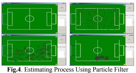 Fig.4. Particle Filter Estimation