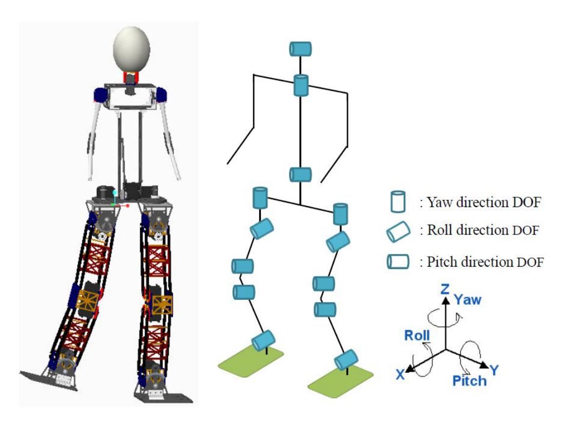 Fig. 1. CAD model (LHS) of HuroEvolution and Structure design (RHS).
