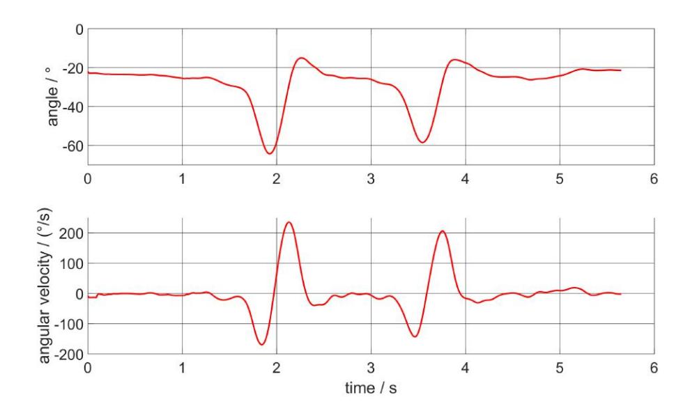 Necessary angle and angle velocities for a medium speed walk [Sch1].