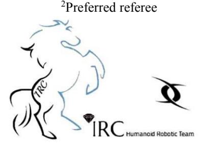 IRC Adult-size Humanoid Robot