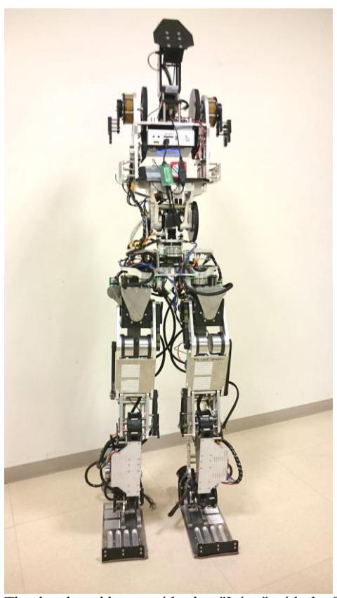 Fig.1. The developed humanoid robot 