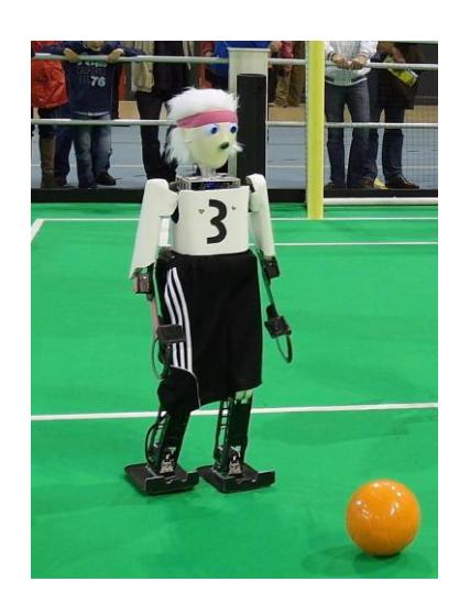 Fig. 2. Robot Copedo before the upgrade.
