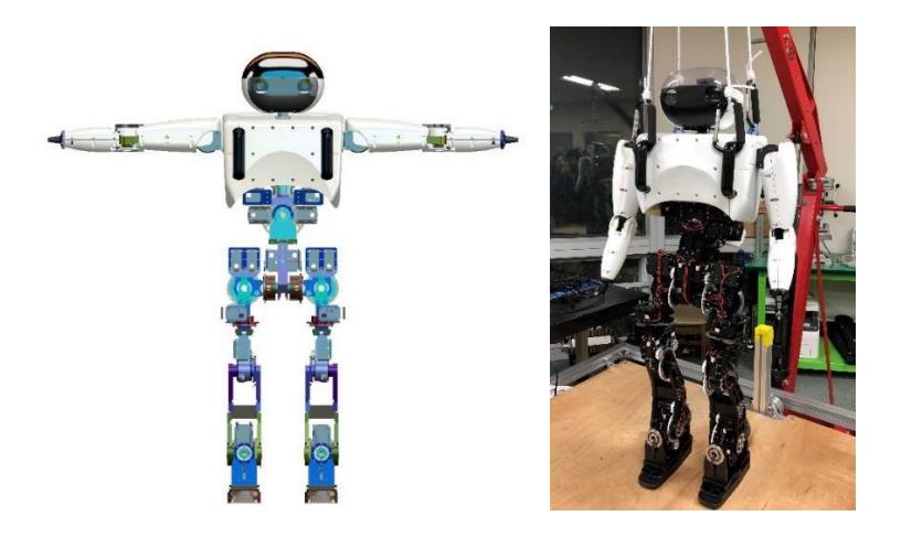 Left: 3D CAD design of DIANA, Right: Real picture