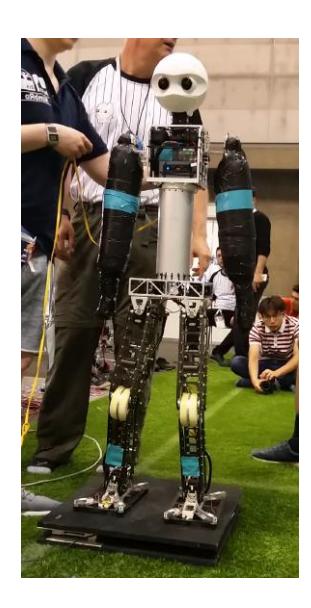 Copedo robot.