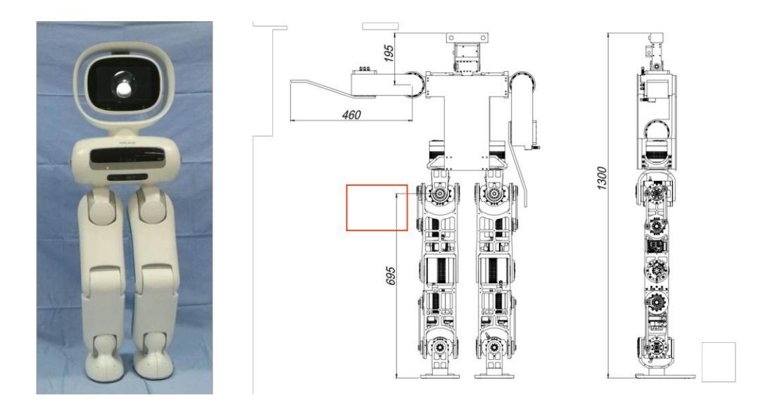 Fig. 1. 1) Walker robot 2) Robot Dimension