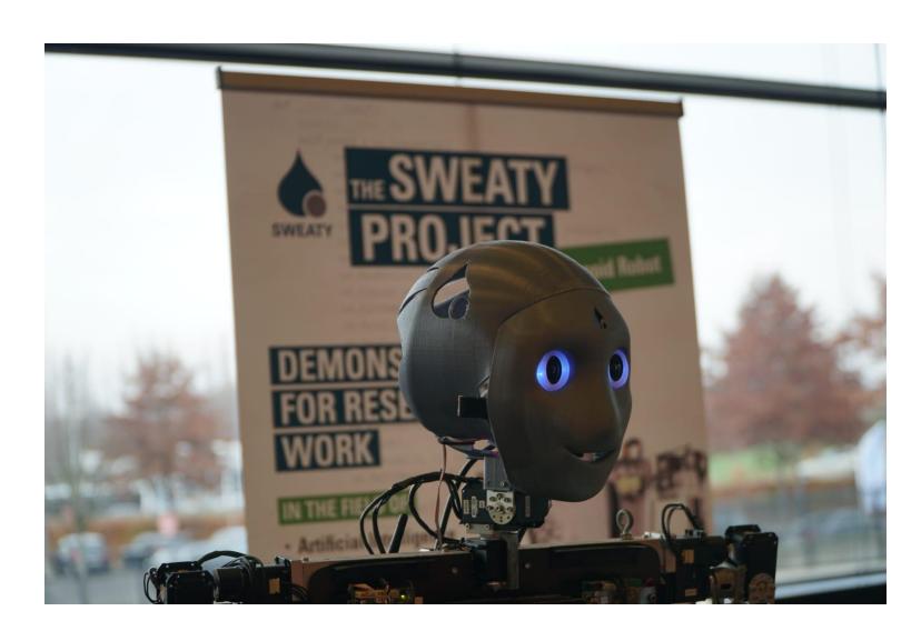 Fig. 4. Sweaty's new head.