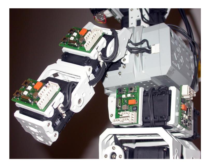 Fig. 3. AccelBoards mounted at different body positions.