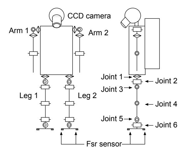 Fig. 7. A model of biped locomotion robot