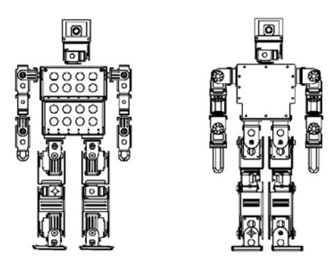 Jaidee [left] and Jeed [right]. The height is approximately 45 cm