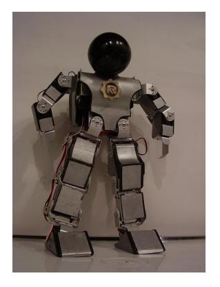 Fig.2. Images of the robot in different positions