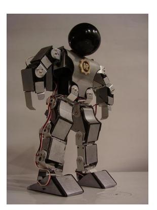 Fig.2. Images of the robot in different positions