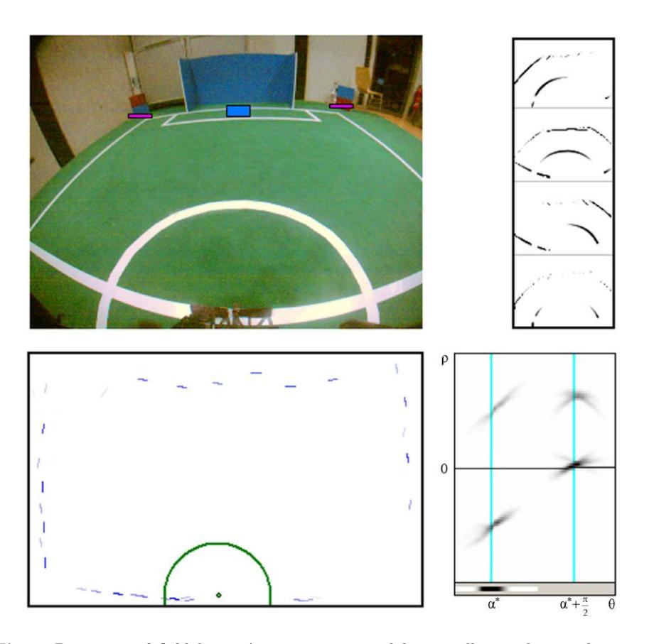 Fig. 2. Detection of field lines. An image captured by a walking robot is shown in the upper left. The responses of four orientated line detectors are shown in the upper right. They are used to detect oriented line segments, which are mapped into Cartesian egocentric coordinates (lower left). The center circle is detected and removed. The remaining line segments are mapped into Hough space (lower right), where the major orientation $\alpha^*$ is estimated and the main lines are detected.