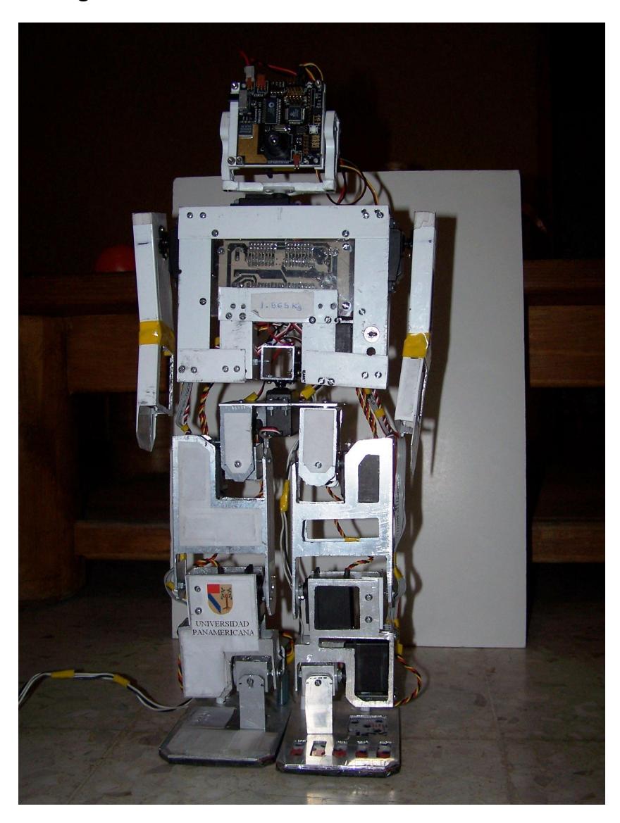 Fig.1. Image of the robot (Charrobot)