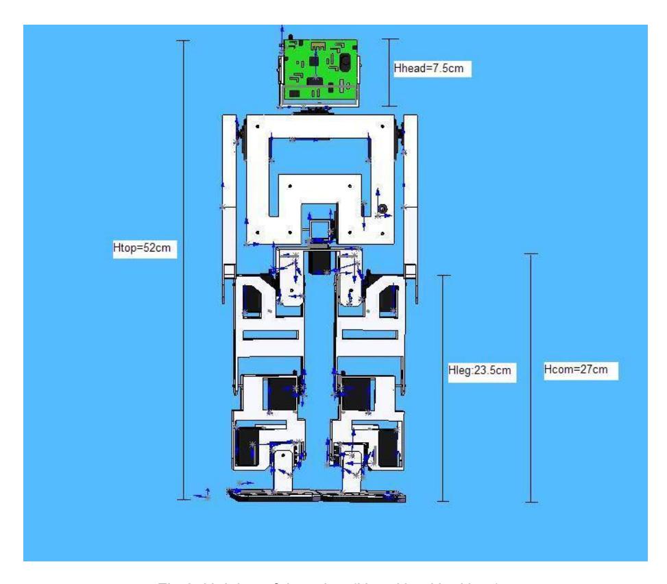 Fig.2. Heights of the robot (Hhead,HTop,Hleg,Hcom )