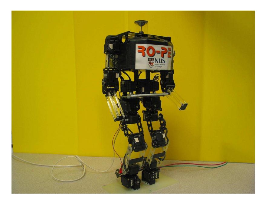 Fig. 1. RO-PE-V in its standing position.