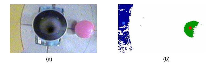 Fig. 5. (a) Original image from the camera and (b) processed image with centroids of the two different colours identified.