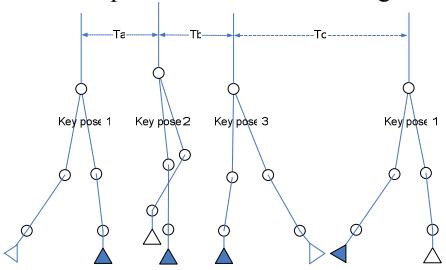 Fig. 1 Biped gait pattern of one cycle