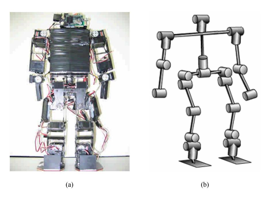 Fig. 1. (a) Photograph of the implemented biped robot. (b) 24 degrees of freedom of the robot.