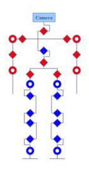 Fig. 1: DOF arrangement of the robot