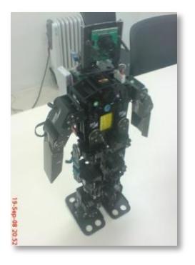 Fig. 1. Bogobot-1