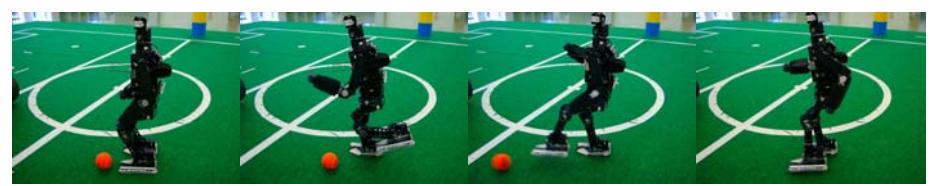Fig.3 (a) Motion of Kick a Ball