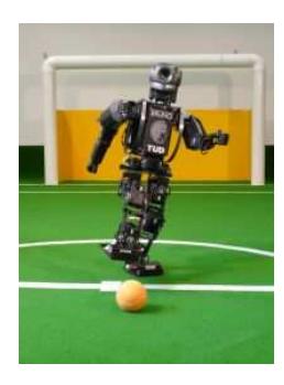 Autonomous humanoid robot Bruno kicking a ball (left), and kinematical structure of the robots (right).