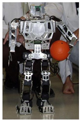 Fig. 2.1. Turco robot
