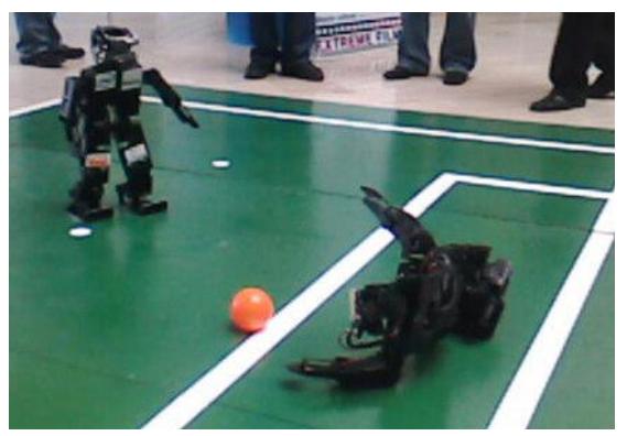 Fig.2.2. Hero 1 and Hero 2 making a demonstration of their abilities.