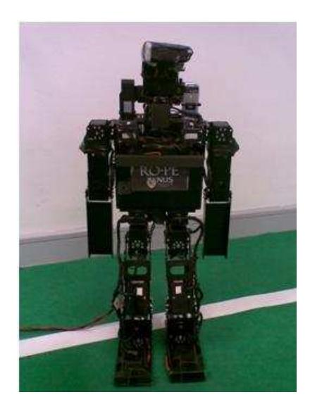 Fig. 1. RO-PE-VI in its standing position.
