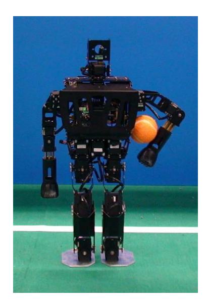 REJr-X1, the latest generation of the family Robo-Erectus.