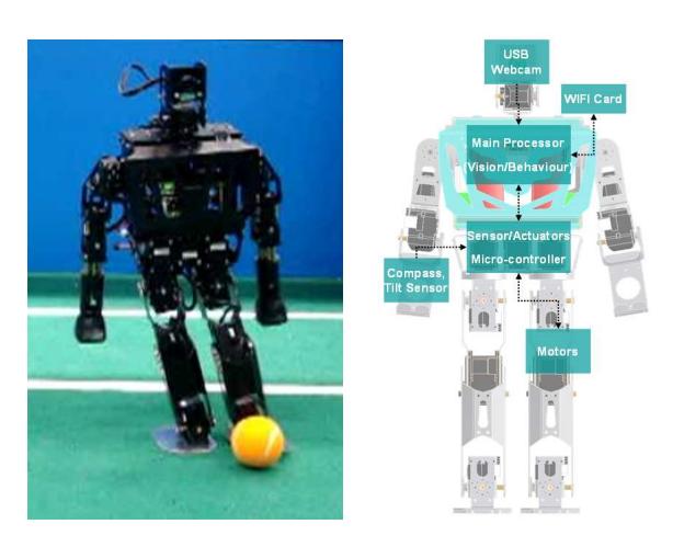 Robo-Erectus Architecture