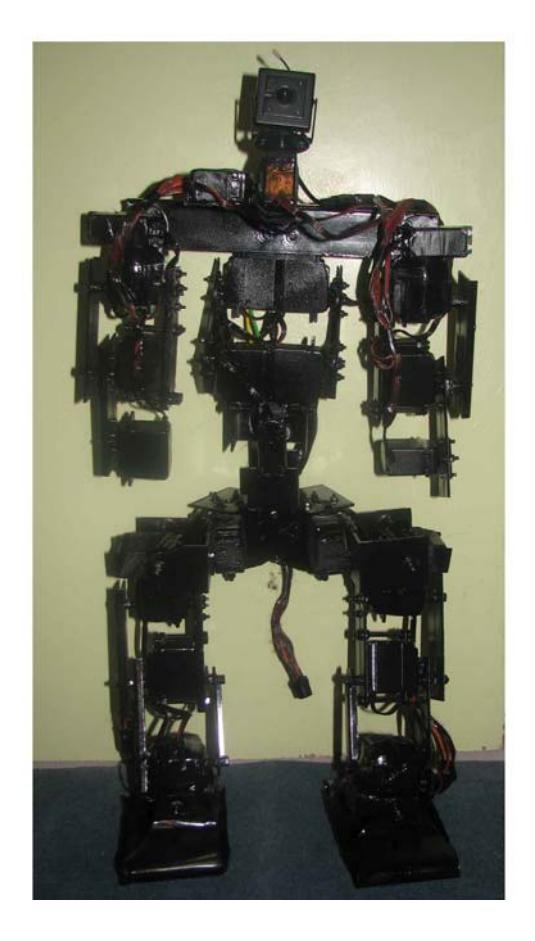 Figure 1-view of robot