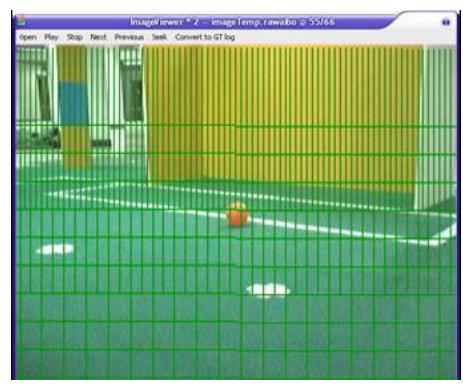 Fig. 4-1. Example of Scan Line