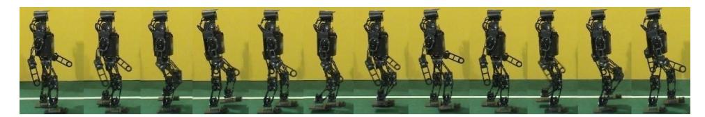 Fig. 7-1. Forward walking image sequence