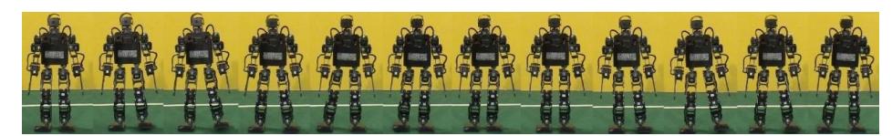 Fig. 7-2. Sideward walking image sequence