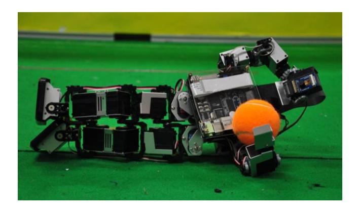 Fig. 1. our robot base on Kondo KHR-1 HV