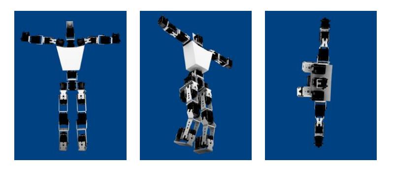 Fig. 3. Structural design for our robot Cucho