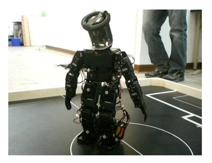 Fig. 3. Photo of the HuroEvolution