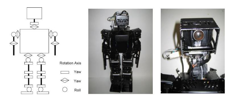 Fig. 1. The VisiON 4G robot: On the left side is a schematic overview of the actuators and their attitude in relation to the bodies. The middle and the right side figures are the front view of the while body and the head part of the robot, respectively.